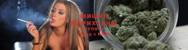 спиды Кукмор