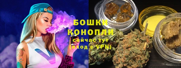 крисы Лагань