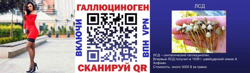 Псилоцибиновые грибы Cubensis  Купить закладки  Кстово 
